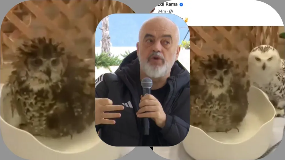 Rama ironizon deklaratën e Berishës