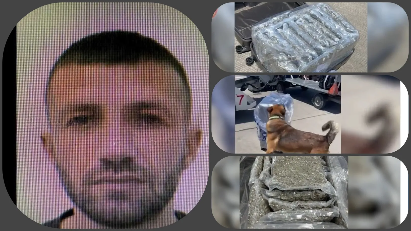FOTO/ Kapet  në Rinas  një valixhe me drogë: Sinjali për çantën u dha nga Dubai