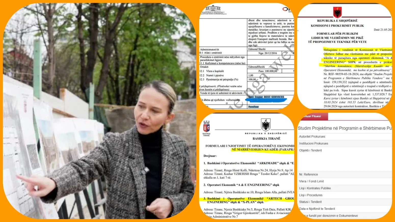 Anuela Ristani u jep 1.6 miliardë lekë  firmës  së Habilajve pa licencë