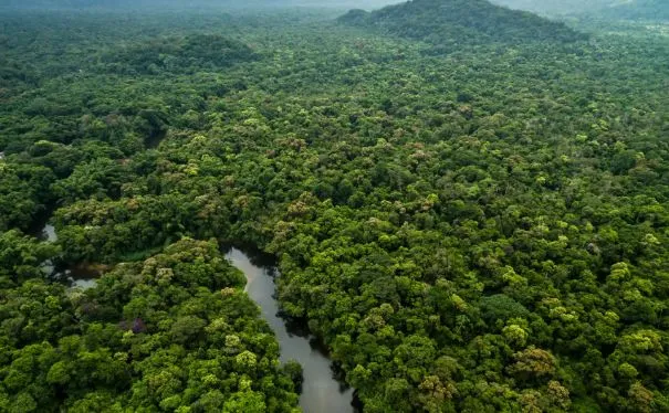 Franca do të ndërtojë një burg të sigurisë së lartë në mes të xhunglës së Amazonës!