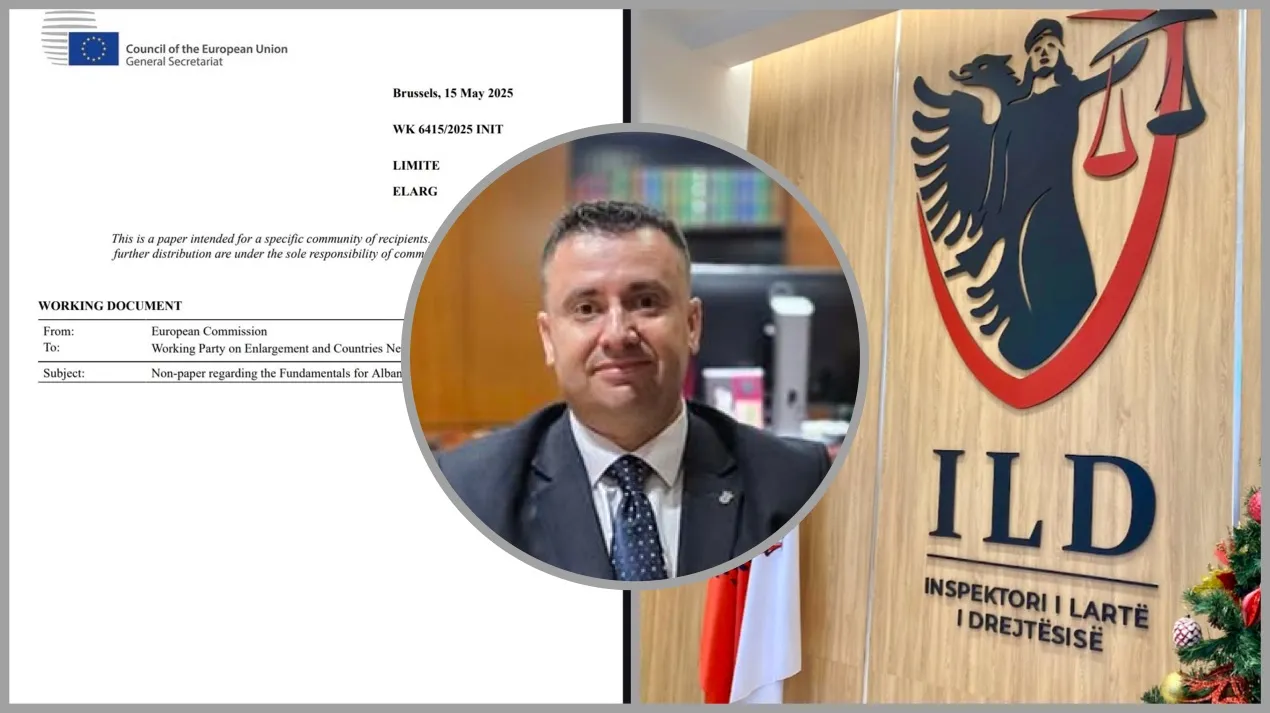 ILD– Institucioni që s’gjen dot as vetveten, por gjen vlerësim në Bruksel