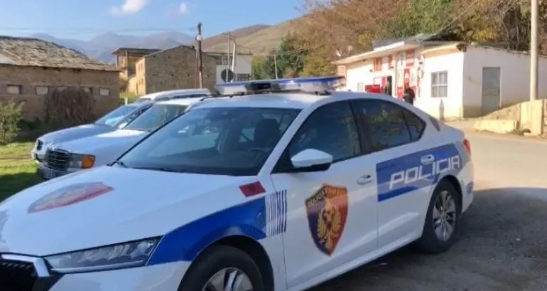 Pogradec, arrestohen gjashtë persona, një tjetër shpallet në kërkim