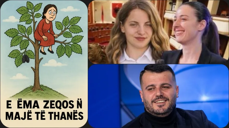 Shqipëria si e ëma e Zeqos në majë të thanës