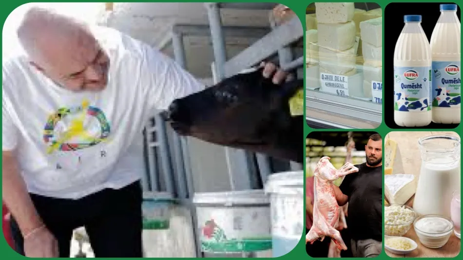 Zhduket prodhimi vendas, Shqipëria  një supermarket importesh