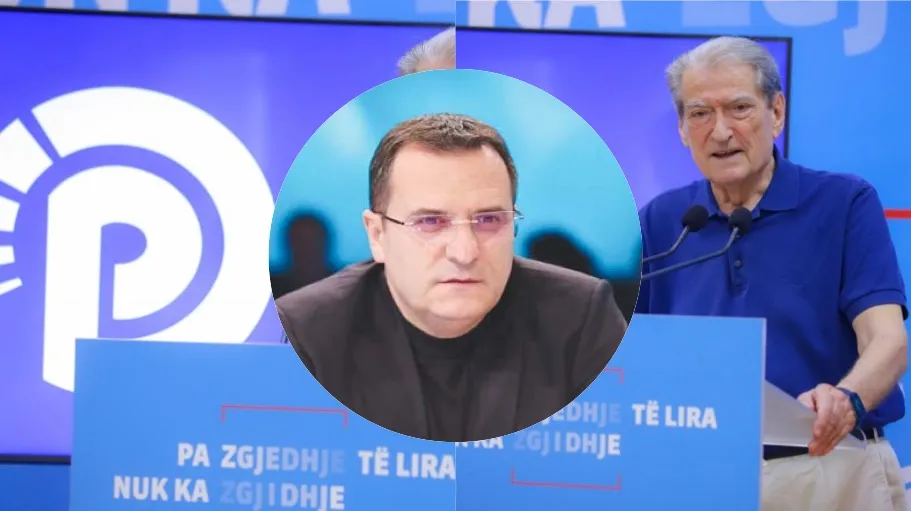 PD nuk është “armike” e PD