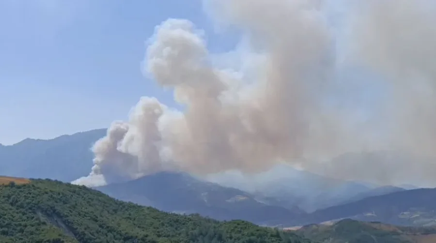 Gramshi dhe Jugu i Shqipërisë nën flakë