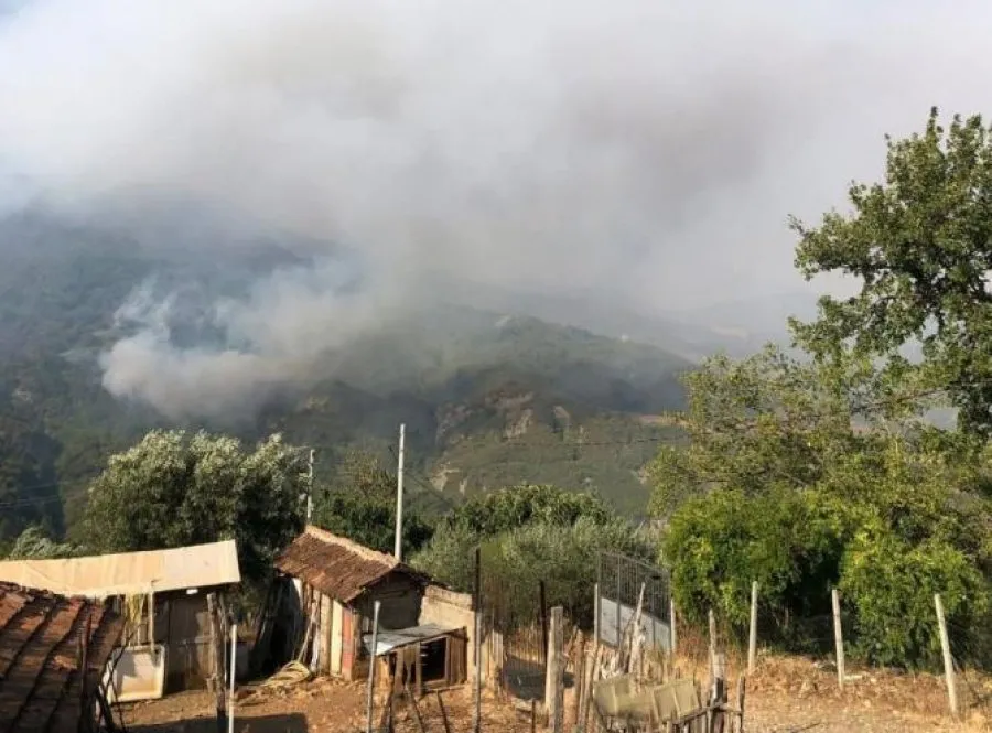 Zjarret jashtë kontrollit në Gramsh, flakët kërcënojnë 7 fshatra