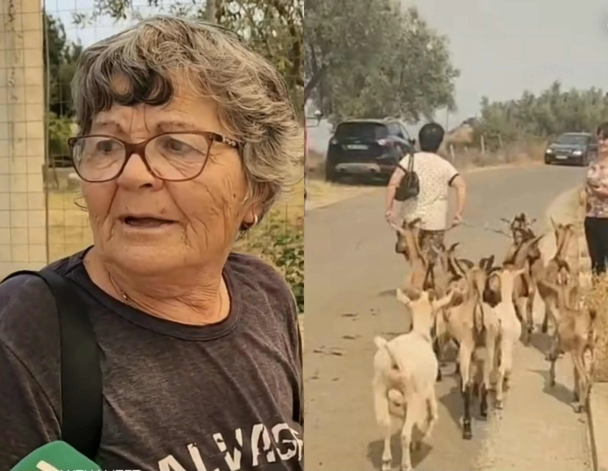 Banorët e Nartës largohen mes lotësh, marrin me vete bagëtitë