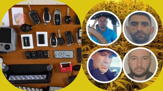 Kapet “Grupi” i kanabisit në Korçë