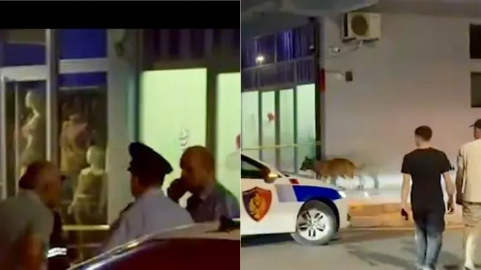 Kukës/ Sherr për parkingun e makinave, qëllohet me armë