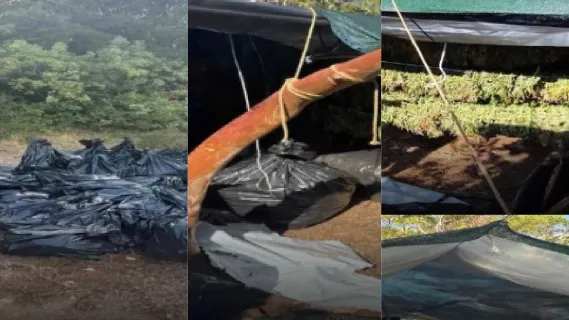 Greqi/ Shkatërrohet  grupi shqiptar i drogës në Athinë
