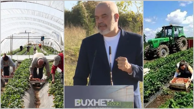 Bujqësia dhe industria në recesion