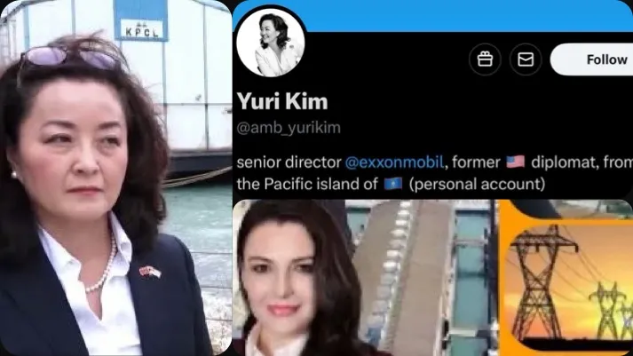 Yuri Kim, Balluku dhe Tigrat e korrupsionit në Vlorë