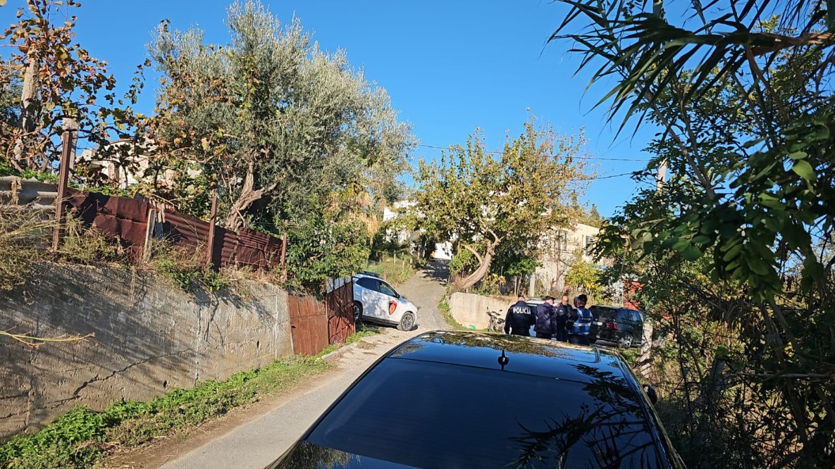 Vrau babain me thikë, arrestohet autori 25-vjeçar (EMRI)