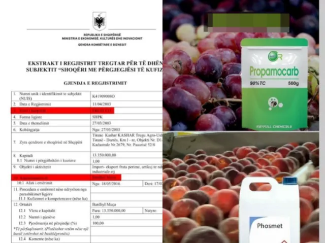 “FRUIT CO” u jep qytetarëve frutat që duhet të ishin groposur