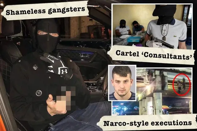 Si po adoptojnë grupet shqiptare taktikat e karteleve meksikane