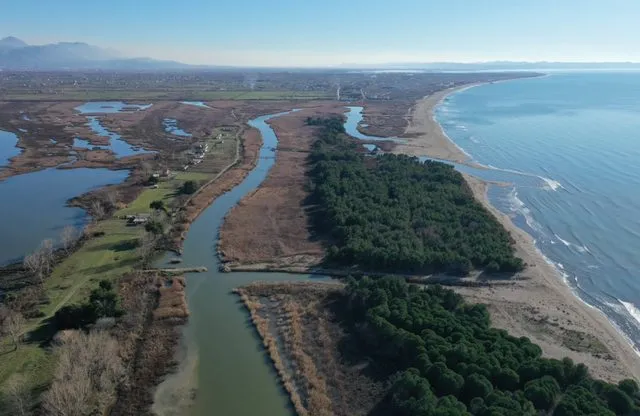 Sekuestrohen 84 mijë metra katror tokë në Lezhë