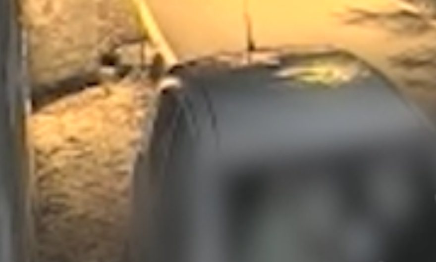 Çifti parkon makinën dhe bën s*ks në mes të rrugës në Tiranë