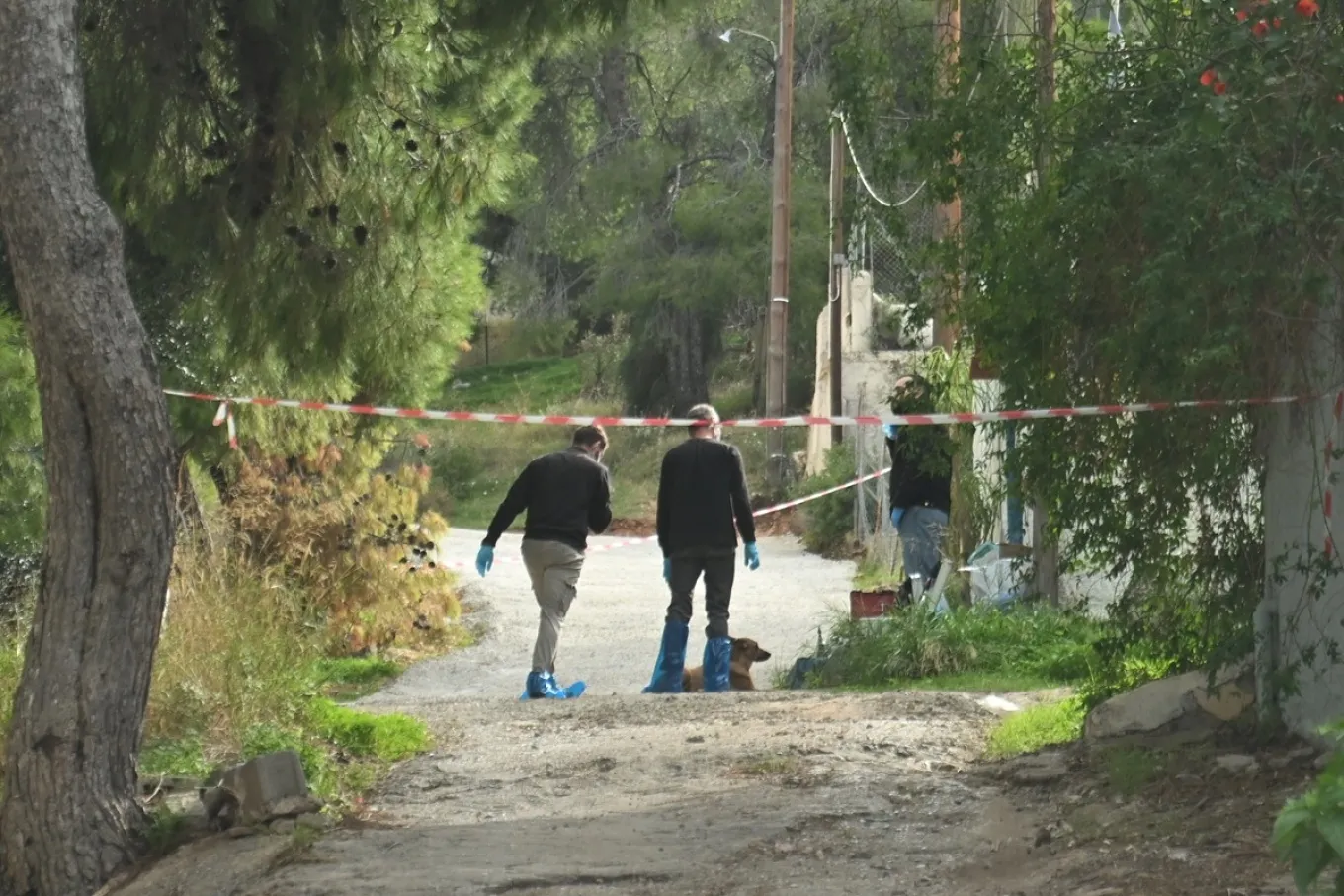 Greqi, moshuara u masakrua  nga nusja e djalit