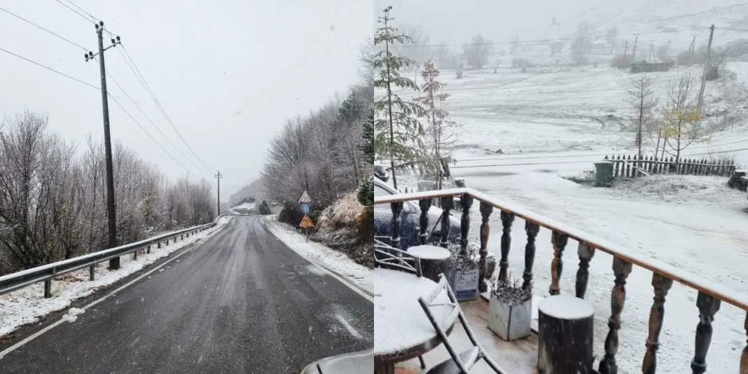 Juglindja zbardhet nga bora