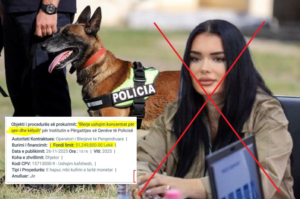 Ushqime ‘luksi’, Arlinda Pogaj tender 520 mijë € për qentë e policisë