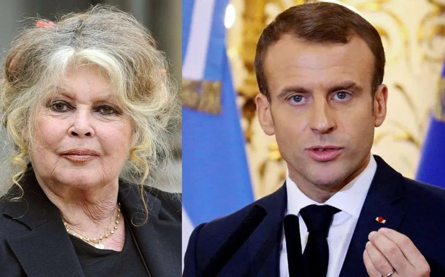 Macron reagon për vdekjen  e  Bardot: Legjendë shekullore!