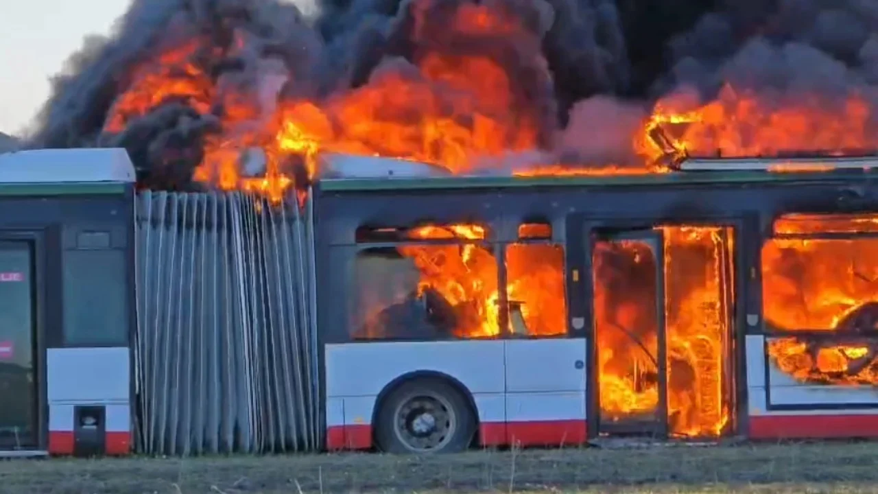 8 autobusë u shkrumbuan nga flakët në Durrës, policia zbardh detajet