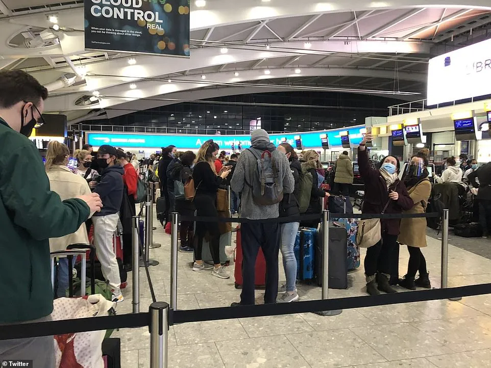 Panik në aeroportin në Londër, sulmohen disa persona