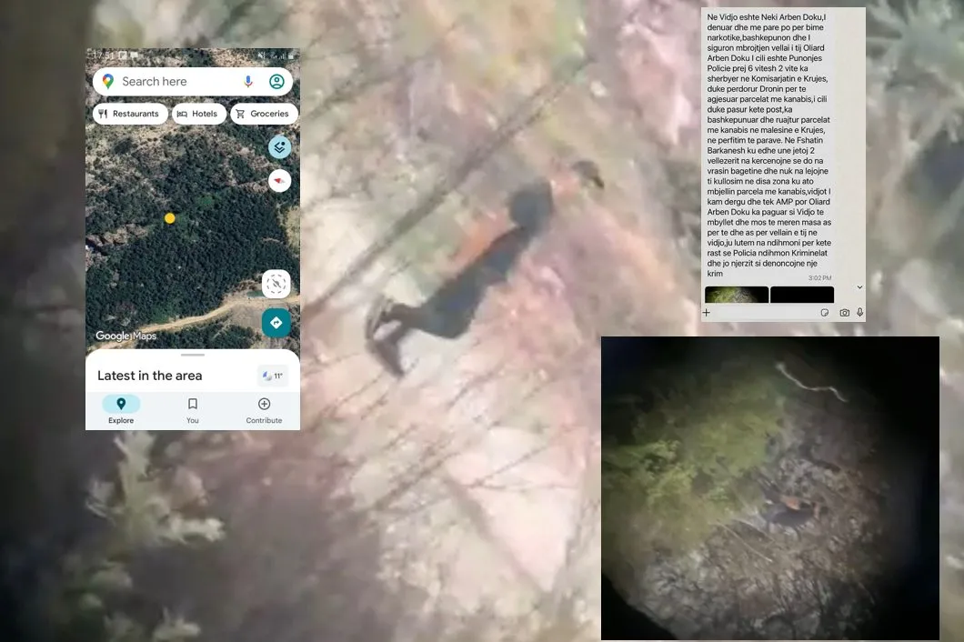 Denoncimi/ Vëllai i policit kultivon kanabis në Krujë, policia hesht