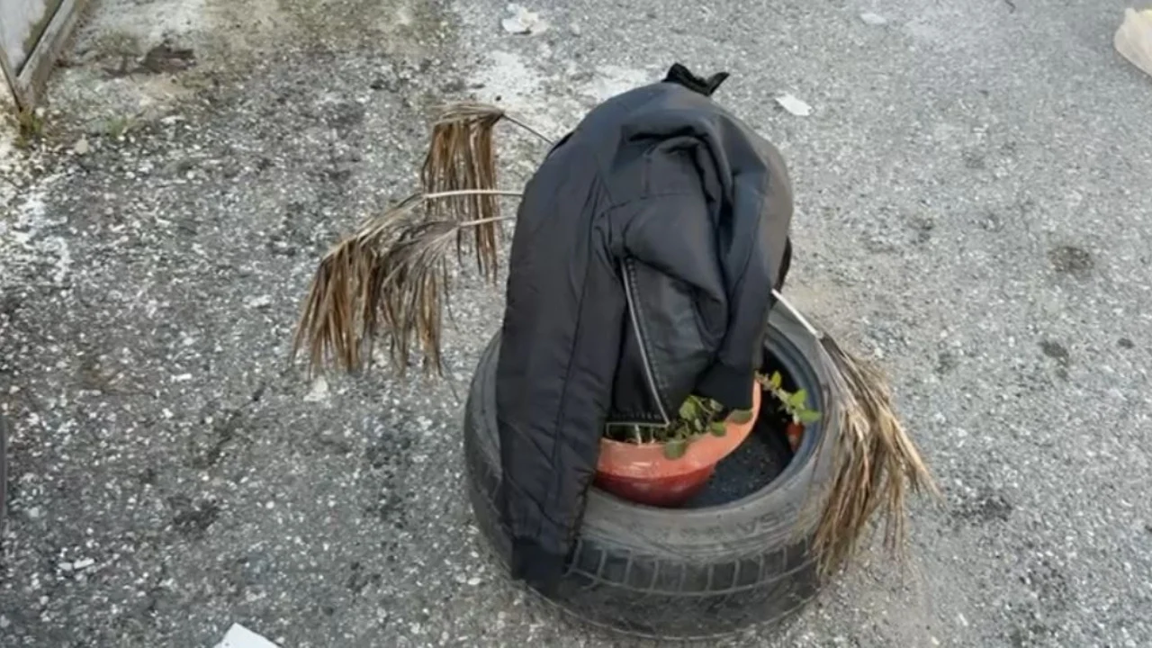 Plagosja mes adoleshentëve në Shkodër, policia zbardh detajet