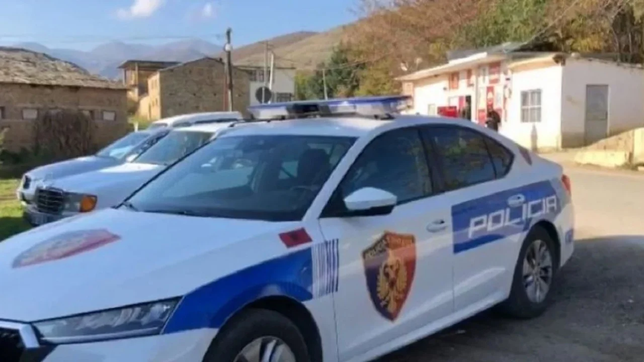Tronditet Lezha/ I vdes i biri, edhe e ëma i jep fund jetës