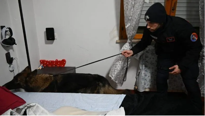 Italia godet rrjetin shqiptar të trafikut të drogës në Siçili