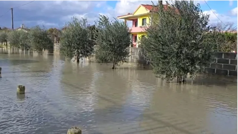 Veprat publike si çifligje private të ndërtuesve