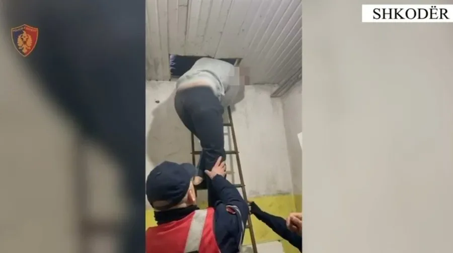 Shkodër, arrestohet 24-vjeçari që tentoi të grabiste postën