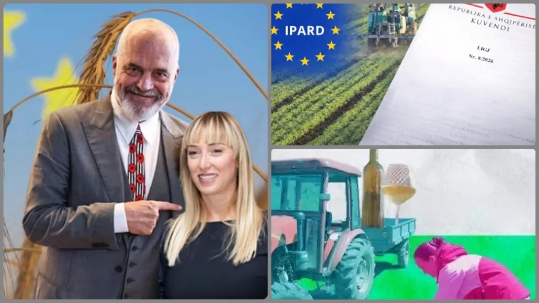 Si po tentohet shpëtimi i Frida Krifcës dhe sponsorit të saj oligark