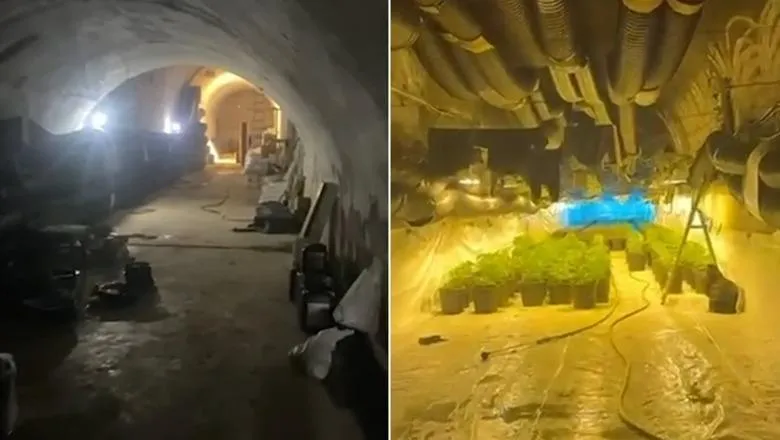 Zbulohen qindra bimë kanabisi në një tunel në Shkodër, pranga 3 personave