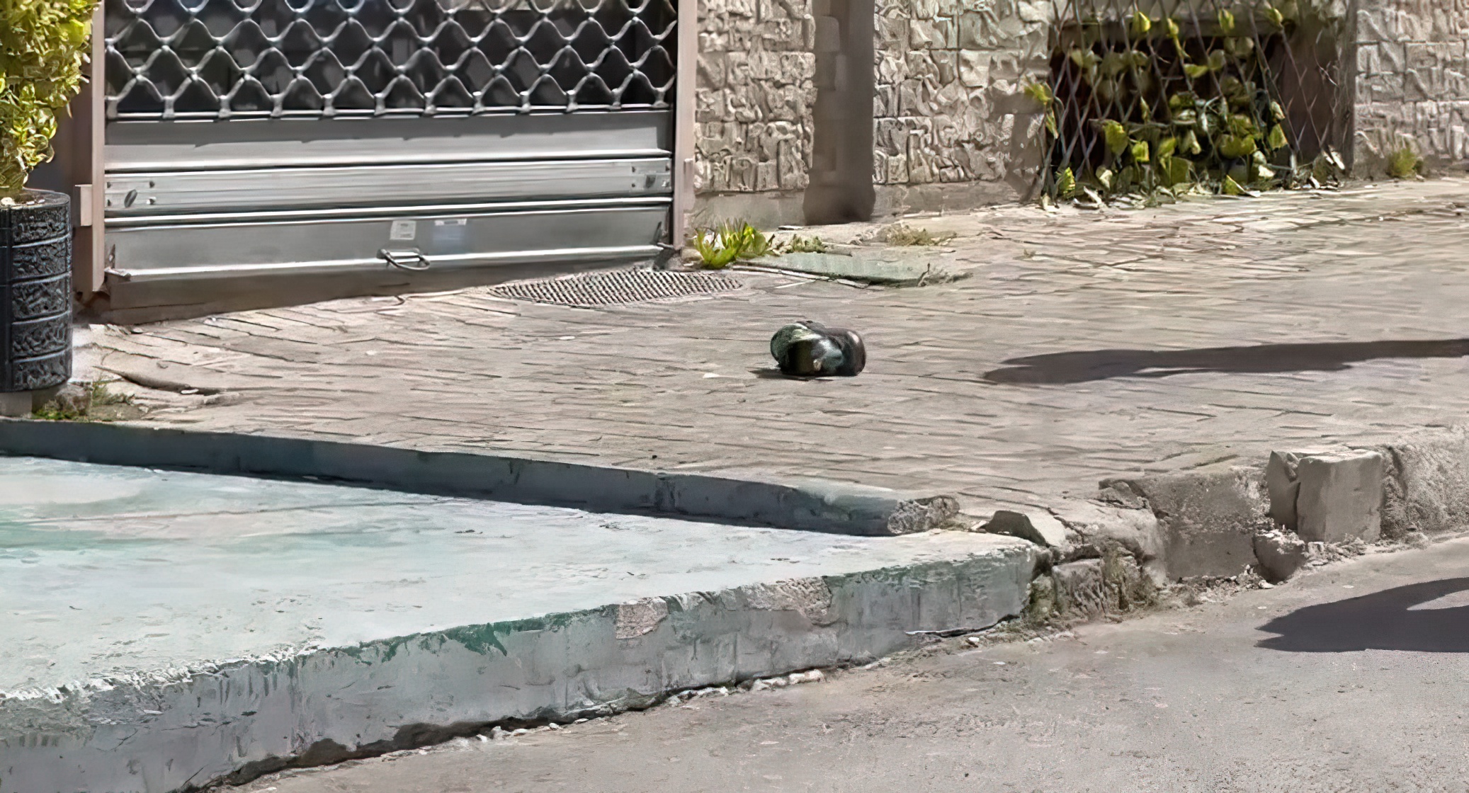 Plas keq sherri mes të rinjve në Korçë, plagoset 16-vjeçari