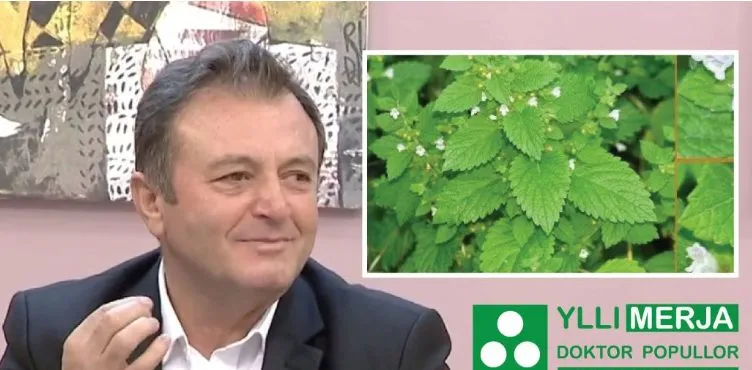 Bllokim i 4 ton produkte bimore , zbulohet sa lekë u gjobit Ylli Merja