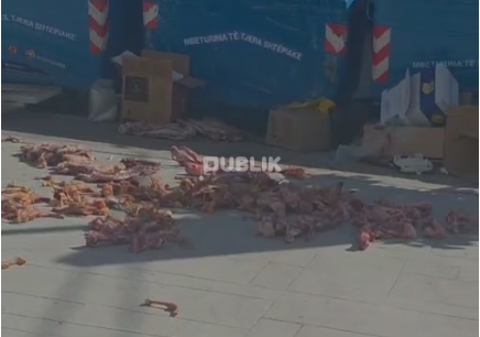 Skandal në Astir, mbetjet e kafshëve hidhen në trotuar