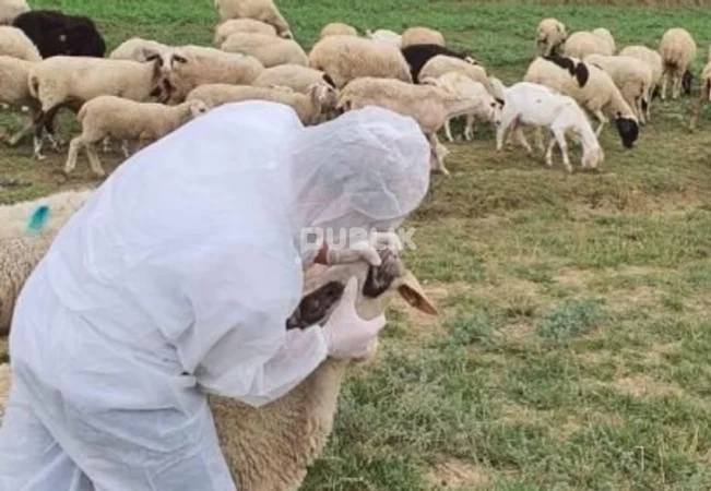 Eduart Merkaj merr drejtimin e Shërbimit të Kontrollit të Brendshëm të Burgjeve