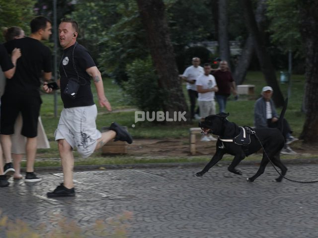 Djali i Paulin Sterkajt fyen influenceren dhe protestuesit