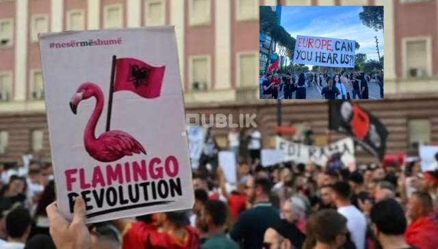 Zbardhen emrat e tre organizatorëve të “Revolucionit të Flamingove”