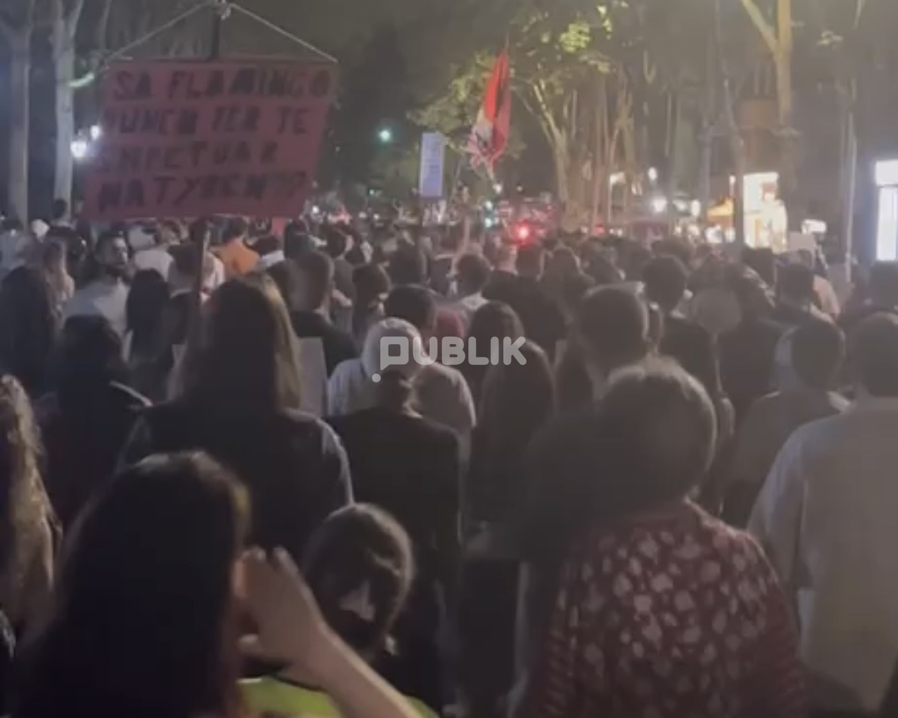 Protestuesit thirrje në kor: Parlamenti i krimit!