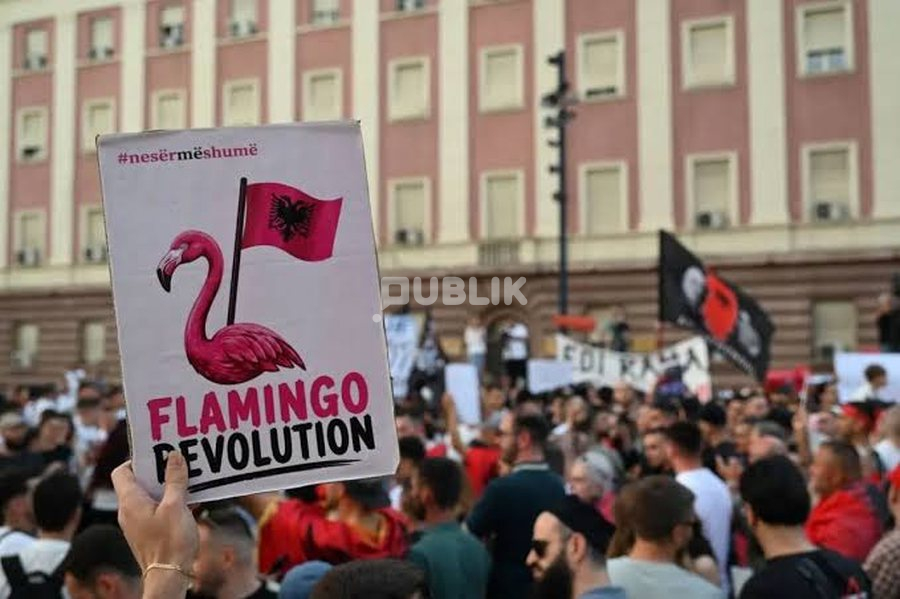 “Revolucioni i Flamingove” në Shqipëri: