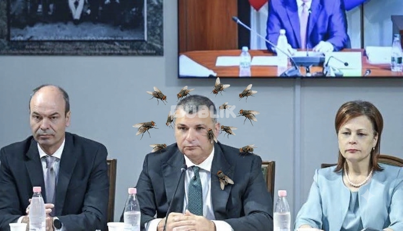 Euro bie pikiatë, guvernatori “vret miza”