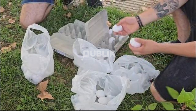 Protestuesit nisin tubimin tek Kuvendi me vezë në duar