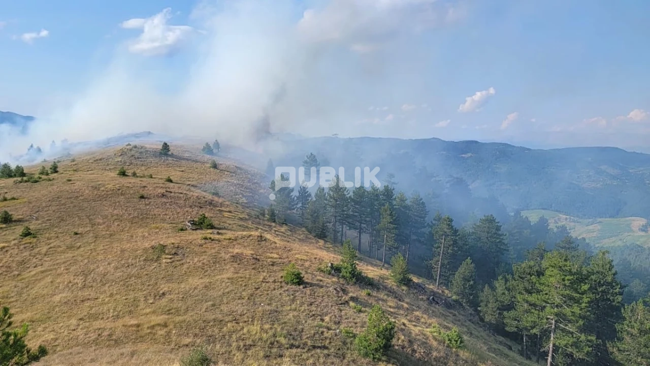 Pas helmimeve, “Sori Al” kalon në duar të reja për mbi 2 milionë €