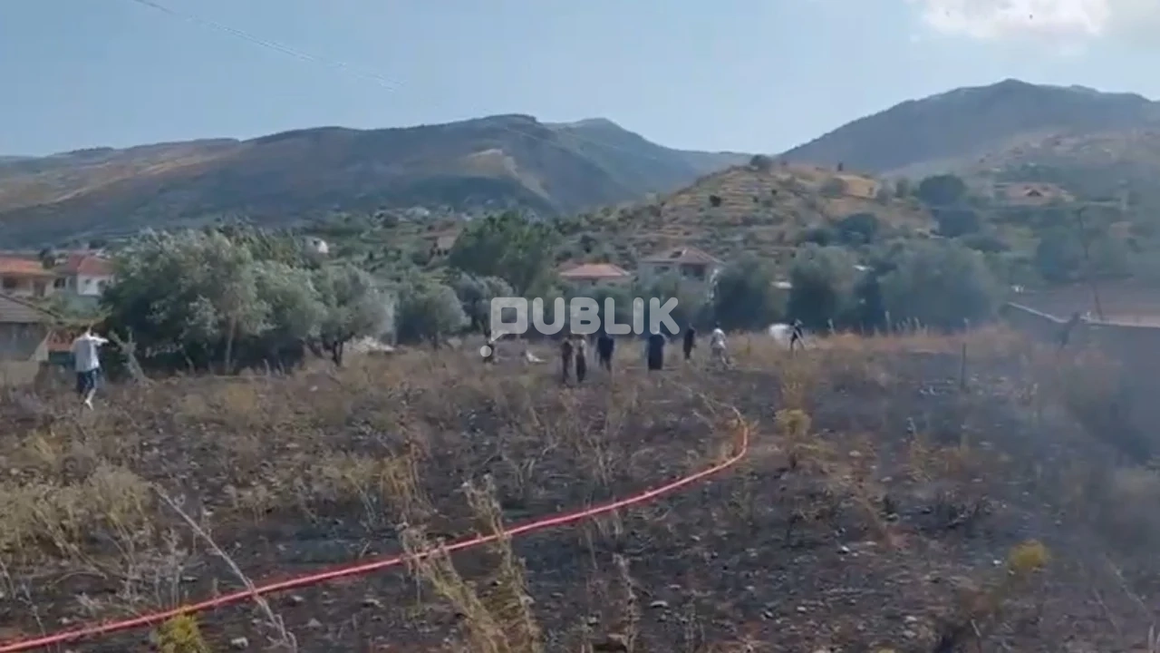 Goditet rrjeti ndërkombëtar i kokainës në Ekuador, 18 të arrestuar