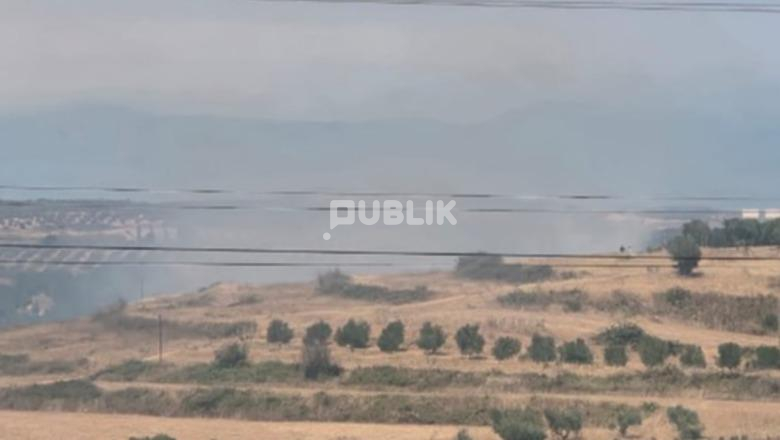 Zjarr në Belsh, flakët kërcënojnë banesat