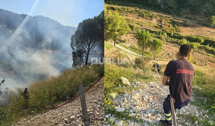 Zjarr i madh në Mallakastër, era favorizon përhapjen e flakëve
